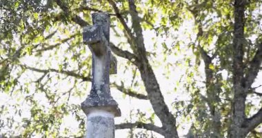 A stone cross is in front of a tree. The tree is full of leaves and the sun is shining on it