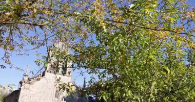 Uzun bir çan kulesi ve yeşil yapraklı bir ağacı olan bir kilise. Ağaç kilisenin önünde ve gökyüzü mavi.