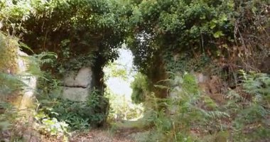 A path through a forest with a stone archway leads to a spooky abandoned village. The stone houses are dilapidated and ivy is growing on the walls.