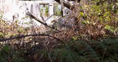 Çökmüş çatılı ve camları kırık bir ev. Bina, binanın içine düşen ahşap kirişlerle harap olmuş. Yukarı kaldır..