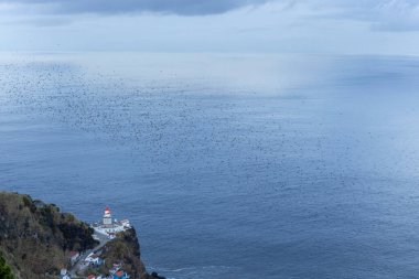 Okyanusun yanındaki kayalık bir kıyı şeridinde bir deniz feneri var. Su sakin ve gökyüzü berrak. Bir kuş sürüsü yukarıda uçuyor..