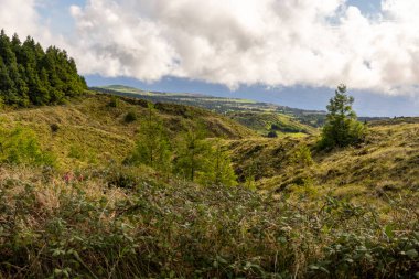 Sete Cidades, Azores 'in arka planında birkaç ağacın olduğu yemyeşil bir alan. Gökyüzü bulutlu ve güneş bulutların arasında parlıyor.