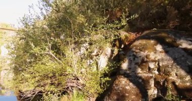 Bir köprü her iki tarafında yemyeşil orman olan bir nehir boyunca uzanır. Köprü çok eski. Su sakin ve ağaçların yansıması suda görülebiliyor. Huzur dolu bir sahne..