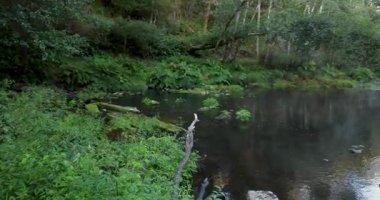 Nehrin yanında yerde bir kütük var. Su sakin ve çevresi yemyeşil ve yemyeşil. Sağa çevir.