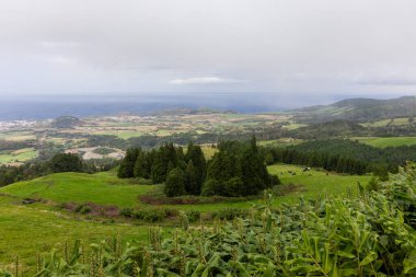 Okyanus manzaralı yemyeşil bir yamaç. Gökyüzü bulutlu ve çimenler yüksek Sao Miguel 'de, Azores.