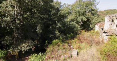 An abandoned ruin of a stone house with a wooden roof and doorway with vines growing on the stone walls in the forest. Pan left shot.