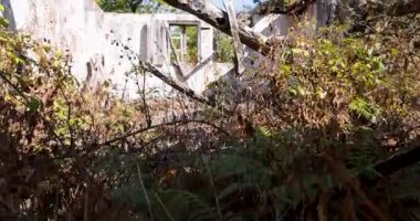 Çökmüş çatılı ve camları kırık bir ev. Bina, binanın içine düşen ahşap kirişlerle harap olmuş. Görüntüyü göster.