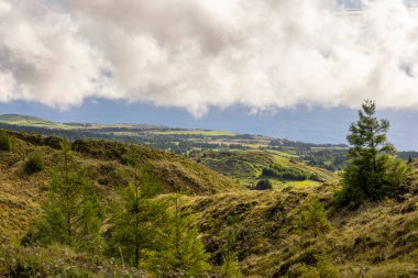 Bulutlu bir gökyüzü ve Sete Cidades, Azores 'te ön planda yalnız bir ağaç olan güzel bir dağ sırası. Manzara yemyeşil ve yemyeşil, sükunet ve sakinlik hissi var..