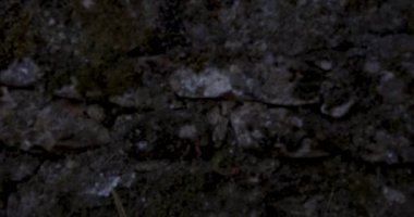 Mavi bir gökyüzünün önünde duran bir kadın heykeli. Heykel ağaçlarla çevrili ve o bir anıt. Geçmişe saygı ve tarih kavramı