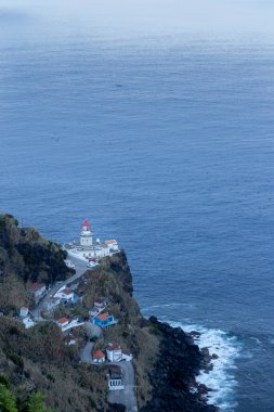 Görüntü, ön planda birkaç bitkiyle okyanusun çarpıcı bir görüntüsünü yakalıyor. Deniz feneri ve kayalık bir kıyı şeridi olan güzel bir kasaba manzarası. Gökyüzü bulutlu ve su sakin.
