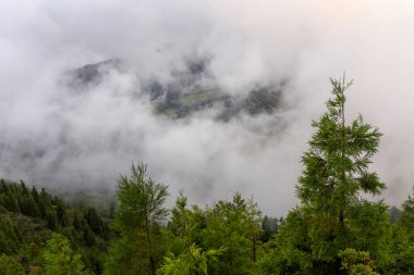 Arka planda dağ olan sisli, bulutlu bir gün. Ağaçlar yeşil ve gökyüzü gri. Manzara sakin ve huzurlu, sis ve bulutlar sakin bir atmosfer yaratıyor.