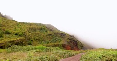 Azores 'te kül, ot ve ormanla kaplı volkanik bir yamaç. Çimler kahverengidir ve otlar yeşildir. Tepe çok dik değil, ama bitki örtüsüyle kaplı. Sol tarafı çevir.