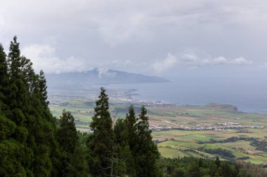 Arka planda bir dağ ve uzakta bir şehir olan bir orman manzarası. Gökyüzü bulutlu ve ağaçlar yeşil Sao Miguel 'de, Azores.