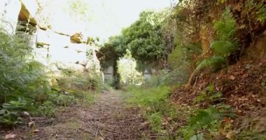 A path through a forest with a stone archway leads to a spooky abandoned village. The stone houses are dilapidated and ivy is growing on the walls.