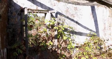 Çökmüş çatılı ve camları kırık bir ev. Bina, binanın içine düşen ahşap kirişlerle harap olmuş. Görüntüyü göster.