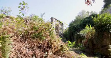 Arka planda evi olan terk edilmiş bir bölge. Ev eski ve terk edilmiş. Bölge yabani otlar ve sarmaşıklarla kaplı.