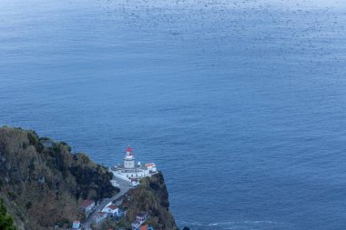 Okyanusun yanındaki kayalık bir kıyı şeridinde bir deniz feneri var. Su sakin ve gökyüzü berrak. Bir kuş sürüsü yukarıda uçuyor..