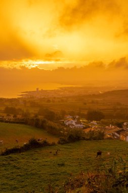 Arka planda birkaç ineğin otladığı bir şehrin üzerinde güzel bir gün batımı. Gökyüzü turuncu ve güneş Sao Miguel 'de batıyor, Azores.