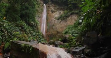 Ribeira Quente, Azores 'de yemyeşil bir ormanın ön planında bir şelale. Su büyük, kayalık bir uçurumdan aşağı akıyor. Huzurlu ve huzurlu bir atmosfer yaratıyor..