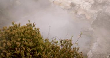 Furnas, Azores 'e su ve buhar sıçratan büyük, kaynayan bir volkanik kaynak göleti. Gölet volkandan gelen basınçla kaynıyor buharlaşmış su ve mineraller yüzeye çıkıyor..