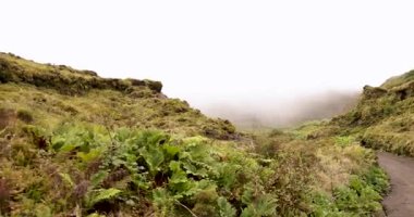 Sisli, kayalık bir yamaçtan aşağı doğru toprak bir yol. Yol çalılar ve ağaçlarla çevrili. İzleme görüntüsü.