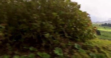 Ağaçlarla dolu güzel yeşil bir tarla ve arka planda Atlantik okyanusu Sao Miguel 'de, Azores' de... Gökyüzü bulutlu ve güneş bulutların arasında parlıyor. Kamyon çekimi.