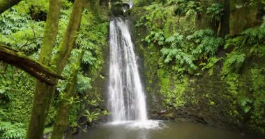Salto do Prego şelalesi yemyeşil ağaçlar ve küçük bir gölet ile çevrilidir. Su berrak ve ağaçlar yapraklarla dolu. Huzurlu ve huzurlu bir sahne.