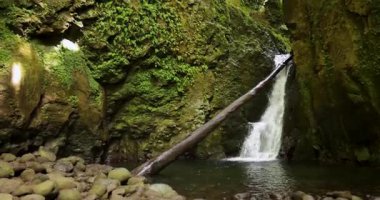Salto do Cagarrao büyük şelalesi kayalar ve devrilmiş bir ağaçla çevrilidir. Su temiz ve kayalar etrafa saçılmış durumda. Huzurlu ve huzurlu bir sahne.