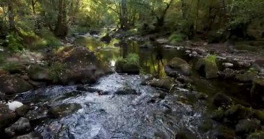 Gün doğumunda bir sürü kaya ve ağaçla birlikte bir ormanın içinden akan bir nehir. Su berrak ve güneş onun üzerinde parlıyor. Eğil..