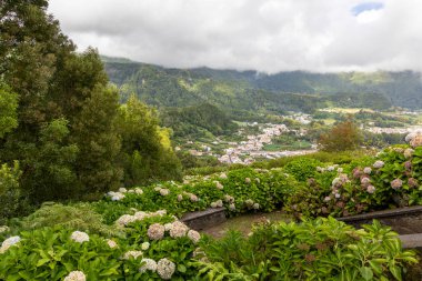 Bir bankı ve bir kasaba manzarası olan yemyeşil bir bahçe. Bahçe pembe ve beyaz olanlar da dahil olmak üzere çiçeklerle dolu. Furnas, Azores 'te manzara huzurlu ve huzurlu.