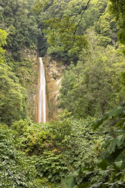 Bir şelale yemyeşil bir ormanın ortasında görülür. Su berrak, ağaçlar uzun ve yeşil. Ribeira Quente, Azores 'de manzara huzurlu ve huzurlu..