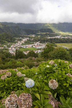 Arkasında büyük bir tepe olan güzel bir kasaba manzarası. Tepe, Furnas, Azores 'deki yeşil ağaçlar ve çalılarla kaplıdır.