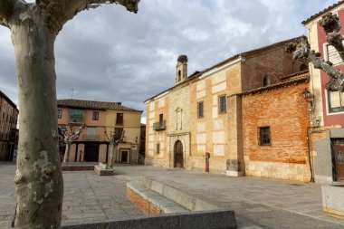 Toro, İspanya, 10 Aralık 2025: Merkezinde büyük bir ağaç olan küçük bir kasaba meydanı. Binalar eski ve gökyüzü bulutlu