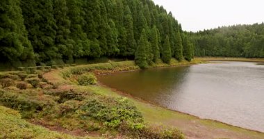 Azores 'teki Lagoa Empadadas volkanik gölü ağaçlarla çevrili. Su sakin ve ağaçlar yemyeşil. Sahne huzurlu ve huzurlu. Sağa çevir.