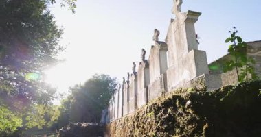 A cemetery with a row of white crosses. The sun is shining on the cemetery, creating a peaceful and somber atmosphere