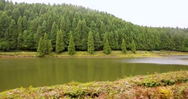 Azores 'teki Lagoa Empadadas volkanik gölü ağaçlarla çevrili. Su sakin ve ağaçlar yemyeşil. Sahne huzurlu ve huzurlu. Kamyon çekimi.