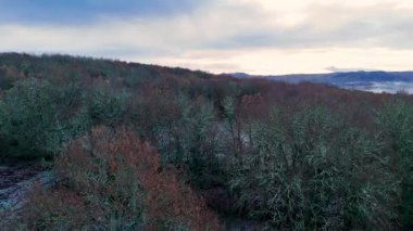 İHA, ortasında bir gölet olan bir ormanın üzerinde uçuyor. Gökyüzü bulutlu ve güneş Orense, İspanya 'da batıyor..