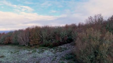 Drone arka planda bir şehir olan güzel bir ormanın üzerinde uçuyor. Gökyüzü bulutlu ve İspanya, Orense 'de ağaçlar kahverengidir..