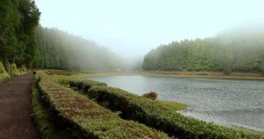 Lagoa de Eguas volkanik gölü. Arka planda sisli bir gökyüzü olan ağaçlarla çevrili. Su sakin, ağaçlar yemyeşil, atmosfer sisli ve bulutlu. İzleme görüntüsü.