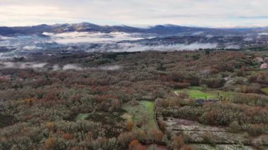 İnsansız hava aracı, aşağıdaki ormanla sisli bir dağın tepesinde uçuyor. Gökyüzü bulutlu ve İspanya, Orense 'de ağaçlar kahverengidir..