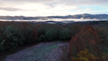 Hava aracı bulutlu bir gökyüzünde uçuyor ve ağaçlar çıplak. Manzara huzurlu ve huzurlu. Sis yoğun ve ağaçlar Orense, İspanya 'da yapraklarla kaplı..