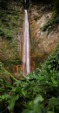 Ribeira Quente yemyeşil bir ormanda büyük bir şelale. Su, Azores Sao Miguel adasındaki bir uçurumdan aşağı akıyor. Eğil..