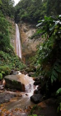 Ribeira Quente yemyeşil bir ormanda büyük bir şelale. Su, Azores Sao Miguel adasındaki bir uçurumdan aşağı akıyor. Statik çekim.