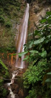 Ribeira Quente yemyeşil bir ormanda büyük bir şelale. Su, Azores Sao Miguel adasındaki bir uçurumdan aşağı akıyor. Statik çekim.