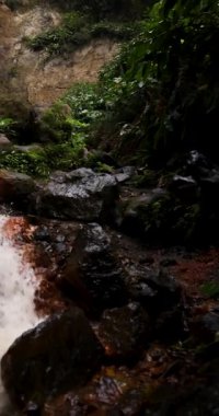 Ribeira Quente yemyeşil bir ormanda büyük bir şelale. Su, Azores Sao Miguel adasındaki bir uçurumdan aşağı akıyor. Sağa kaydırılıyor.