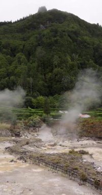 Furnas, Azores 'teki kalderaların kaynayan jeotermal sularından yükselen buharla kaplı bir orman alanı. Buhar sıcak bir volkanik kaynaktan geliyor..