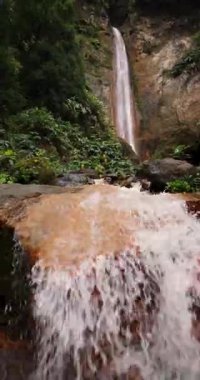 Salto, Azores 'in yemyeşil ormanında Prego şelalesi yapıyor. Şelale ağaçlar ve bitkilerle çevrili, sakin ve huzurlu bir atmosfer yaratıyor.