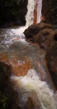 Ribeira Quente yemyeşil bir ormanda büyük bir şelale. Su, Azores Sao Miguel adasındaki bir uçurumdan aşağı akıyor. Yukarı kaldır..