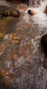 Ribeira Quente yemyeşil bir ormanda büyük bir şelale. Su, Azores Sao Miguel adasındaki bir uçurumdan aşağı akıyor. Yukarı kaldır..