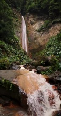Ribeira Quente yemyeşil bir ormanda büyük bir şelale. Su, Azores Sao Miguel adasındaki bir uçurumdan aşağı akıyor. Statik çekim.